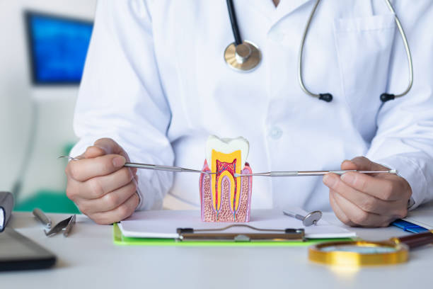 Best Urgent Care for Lost Fillings or Crowns in East Point, GA